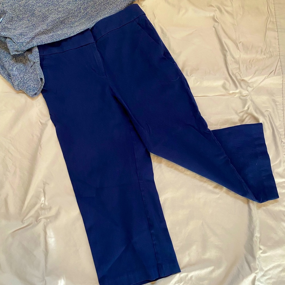 Loft Outlet High Rise Slim Wide Leg Crop
